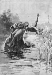 Image of a Bunyip.